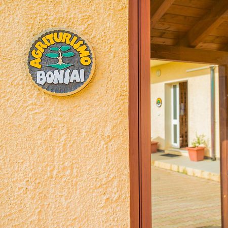 Bonsai B&B Alghero Santa Maria la Palma Bagian luar foto